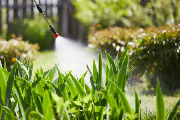 24/7 Emergency Wasp Removal experts in Lincoln, MO